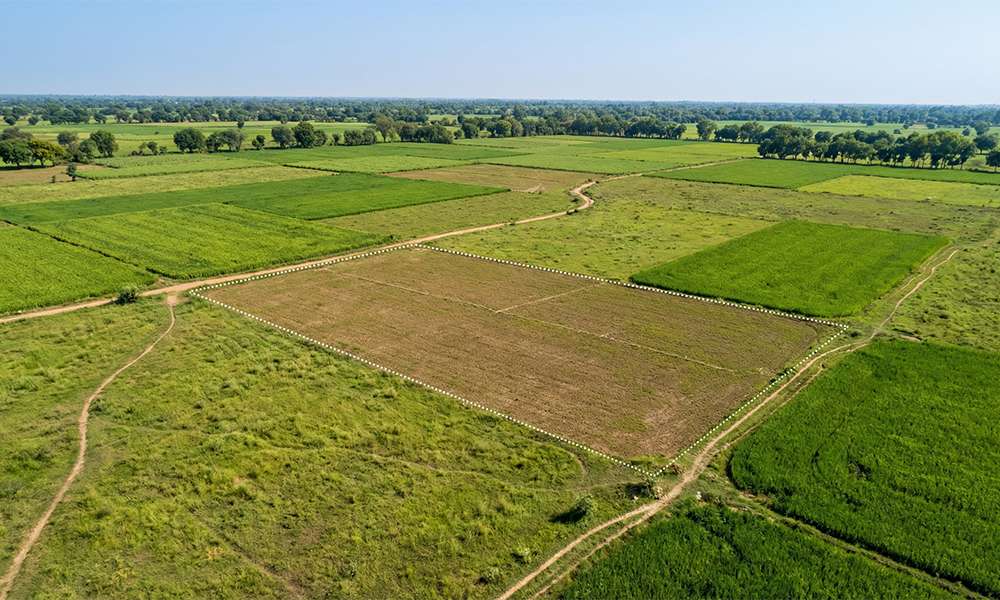 Plot finding in India