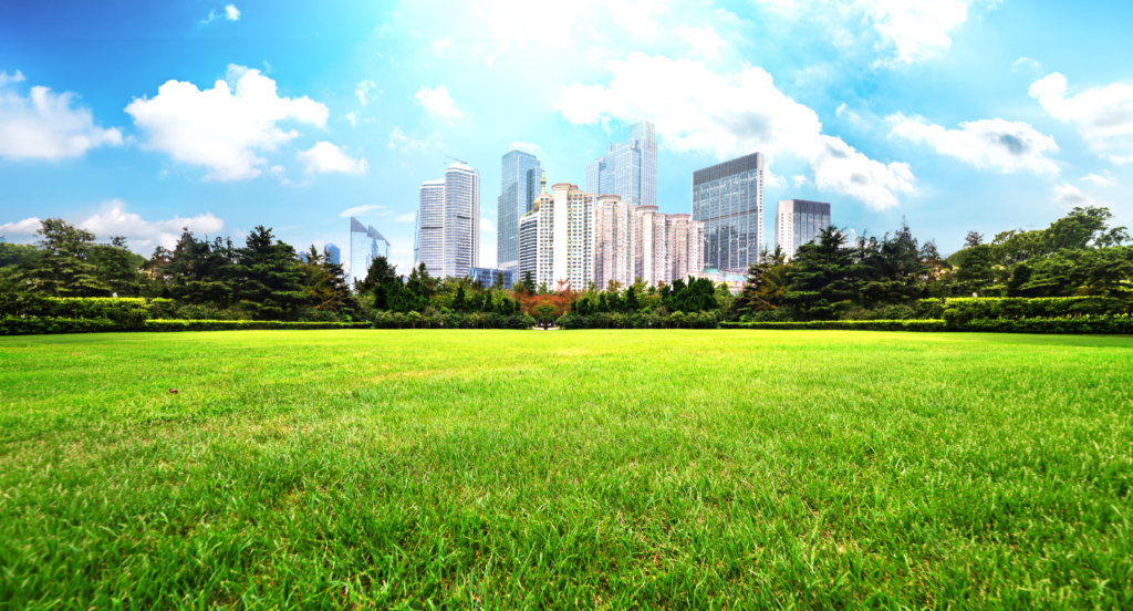 How to Choose the Perfect Residential Plot | Contec